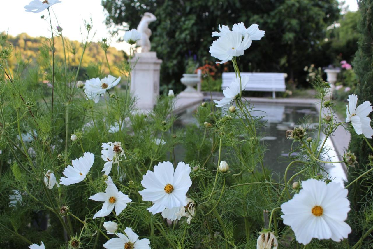Chateau Du Grand Jardin Valensole Ngoại thất bức ảnh