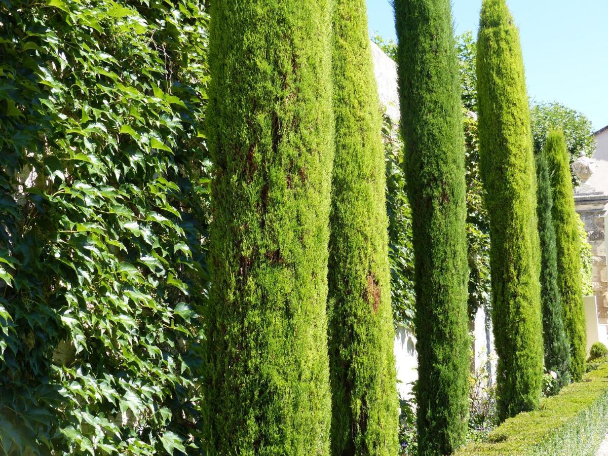Chateau Du Grand Jardin Valensole Ngoại thất bức ảnh